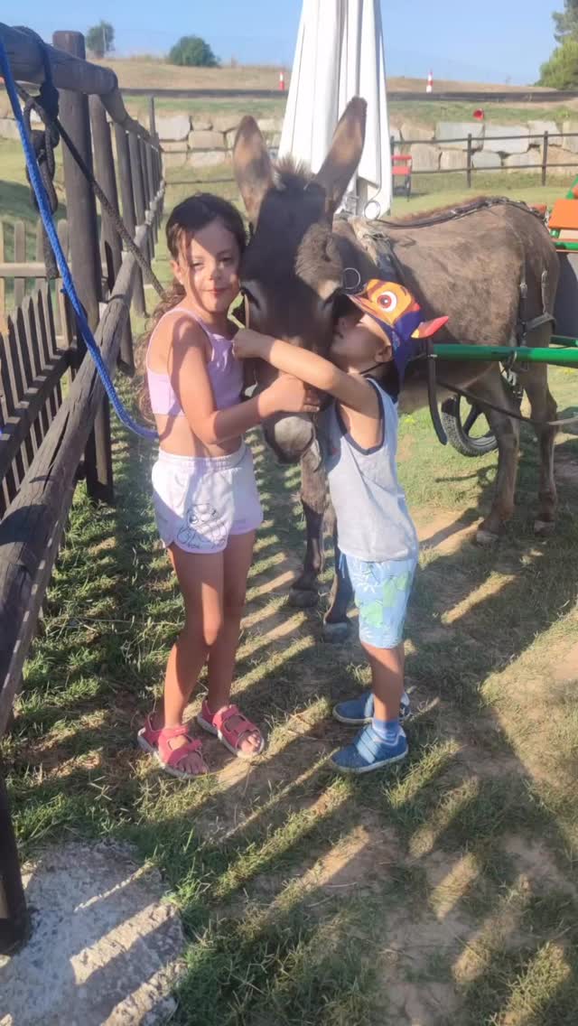 🎉 Tercera setmana de casal d’estiu superada! ✅
El temps passa volant 🕒💨 i ja portem tres setmanes plenes d’emocions i moments inoblidables! 🏕️🌞
Els nens i nenes estan molt contents 😄 i cada dia que passa fan nous amics 👧👦, creen vincles molt especials 💞 i comparteixen rialles i aventures que segur que recordaran sempre! 🫶
🎨 Hem fet un munt de manualitats creatives i divertides,
🏊♂️ hem gaudit com mai a la piscina,
🐐 hem conegut animals adorables i après molt d’ells,
😄 i sobretot… hem viscut mil moments de diversió i felicitat!
El casal és molt més que activitats, és un espai per créixer, aprendre i somiar en gran 💫
Seguim endavant amb molta il·lusió i energia! 💪💛
#CasalEstiu #DiversióGarantida #NousAmics #Setmana3 #EstiuInoblidable