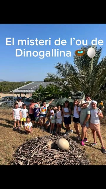 🎬 El misteri de l’ou de dinogallina! 🦖Durant la primera setmana de casal, els nostres petits grans artistes 🎭 van crear una pel·lícula molt divertida! 📽️Ells i elles van ser els actors i actrius protagonistes, i fins i tot es van inventar la història! 🧠✨Aquest és el resultat del seu talent, imaginació i molta il·lusió 💫Esperem que us agradi tant com a nosaltres… perquè a nosaltres ens ENCANTA! ❤️🥰#CasalDeVerano #GranjaEscola  #dinosaurios #CreativitatInfantil #PetitsGransActors