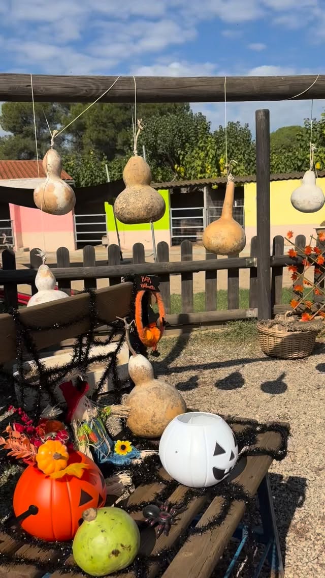 🍁✨ La Maria Castanyera ja ha arribat a la granja… i està voltant per tot arreu! 🐐🎒
Els caps de setmana 18/19 i 25/26 d'octubre ens vindrà a visitar 🎉
Podràs ballar i cantar amb ella, i fer-te una foto molt divertida al nostre photocall castanyer! 📸🌰
Vine en família i viu la tardor amb nosaltres a Can Pidelaserra 🍂🐷
#castanyada #granjaescola #canpidelaserra #mariacastanyera #tardor #activitatsinfantils #plansambnens #sortidesenfamilia #granjaeducativa #capsdesetmanaambnens #naturaiaventura #viladecavalls #barcelonakids #plansdetardor #granjaescolacanpidelaserra #photocallcastanyera #tocatoca #granjaanimals #famíliafelic #castanyeratime #descobreixcatalunya