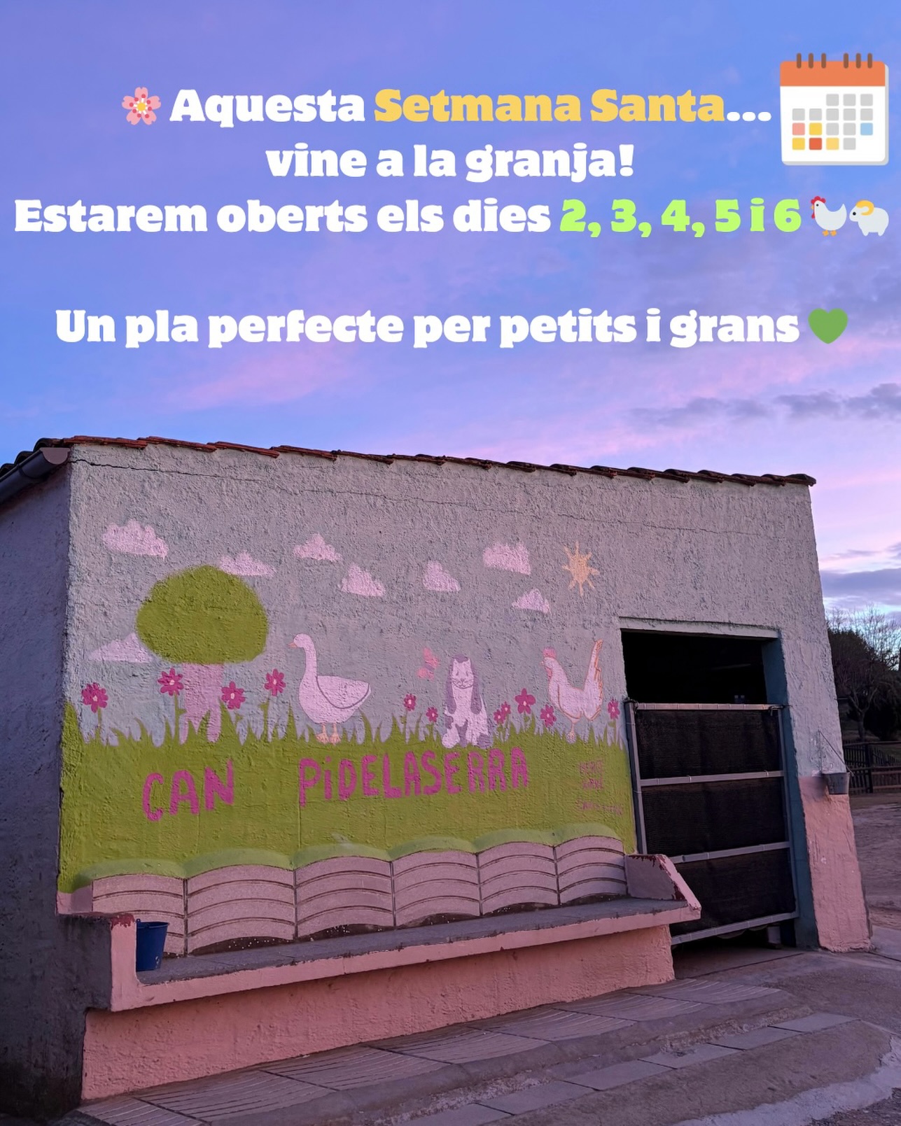 🌿 Setmana Santa a la granja!
🗓️Estarem oberts els dies 2, 3, 4, 5 i 6 🐐
Vine a gaudir de la natura, els animals i un dia diferent 💚

Reserva aquí:
https://www.canpidelaserra.es/granja/ca/sortides-familiars/

T’hi esperem! ✨